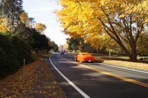 Autumn On The Old Kings Highway