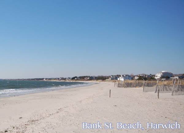 bannk st beach harwich