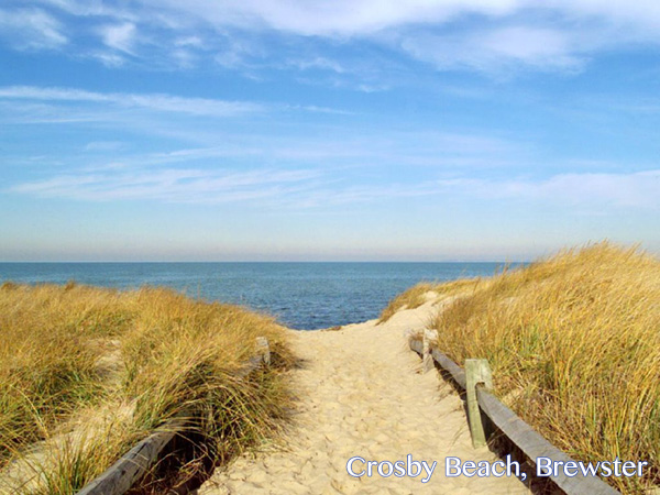 crosby beach brewster