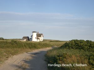 hardings_beach_chatham