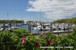 harwich-Saquatucket-Harbor1