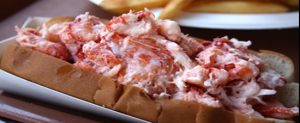 Cape Cod Dining