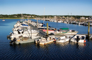 Wellfleet Information
