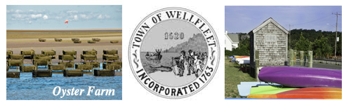 Visit Cape Cod Wellfleet
