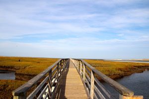 Cape Cod Lodging