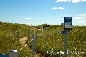 So_Cape_Beach_Mashpee