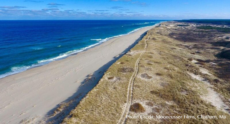 Cape Cod Lodging