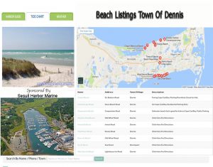 beachesdennis copy