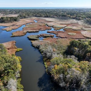 2022 Fall on Cape Cod