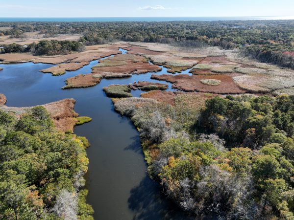 2022 Fall on Cape Cod